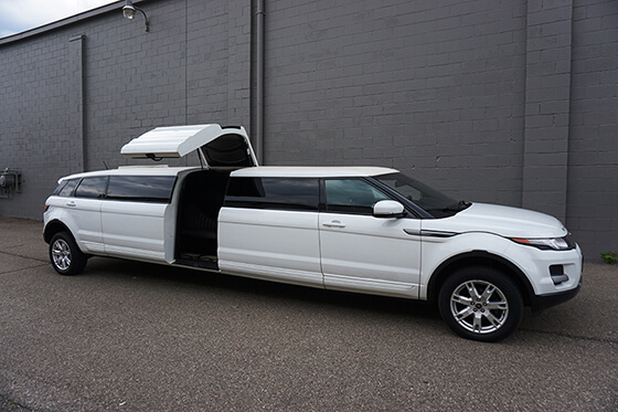 15 passenger party bus interior